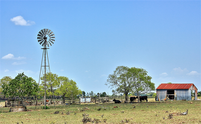 A Midsize County Making a Texas-Sized Impact